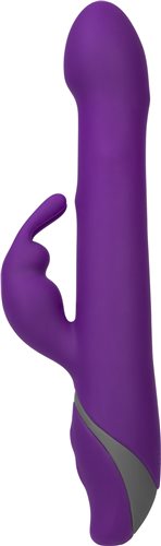 Commotion Rhumba Purple