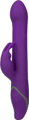 Commotion Rhumba Purple