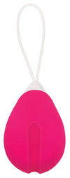 Rechargeable Egg Pink Vibrator Remote Control