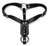 Butt Plug Harness WCock Ring