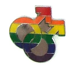 Lapel Pin Rainbow Double Male