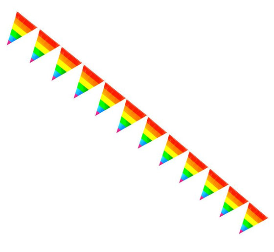Rainbow Striped Pennants