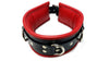 Padded Leather Collar BlackRed