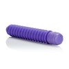 Shanes World Sorority Screw Vibrator Silicone Purple