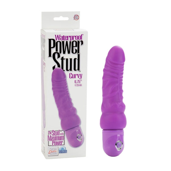 Power Stud Curvy WP Purple