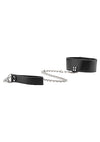 Reversible Collar WLeash Black