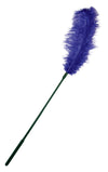 Ostrich Feather Purple
